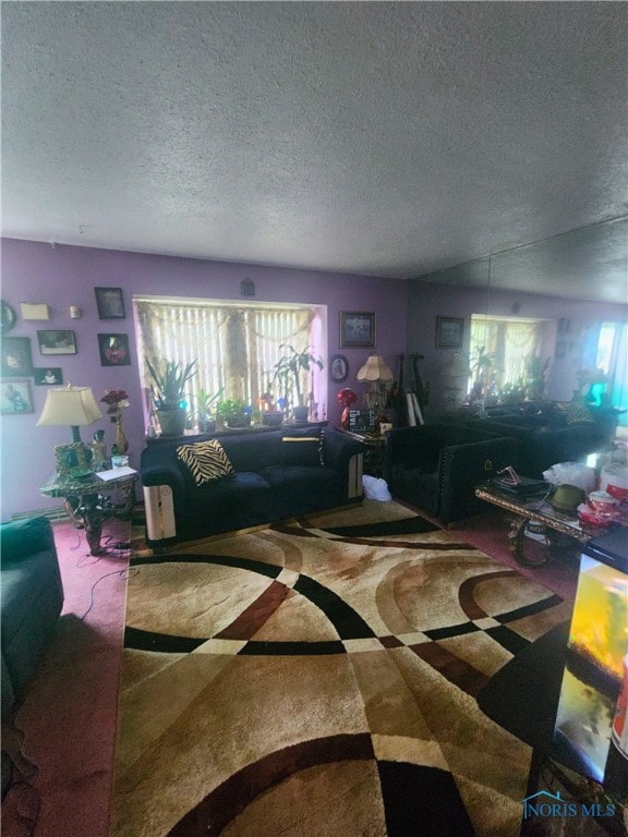 16 Prescott St, Toledo, OH 43620 - living area featuring a textured ceiling and plenty of natural light
