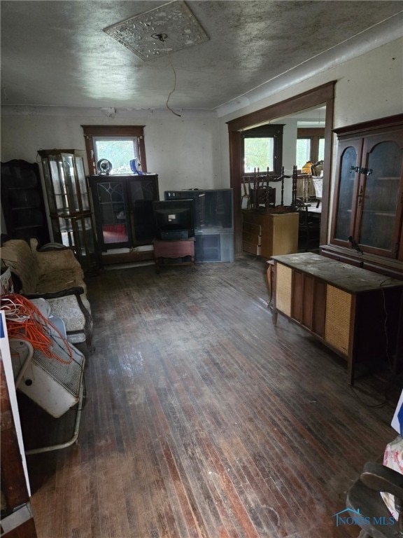 1441 Maumee St, Holland, OH 43528 - living room featuring hardwood / wood-style floors
