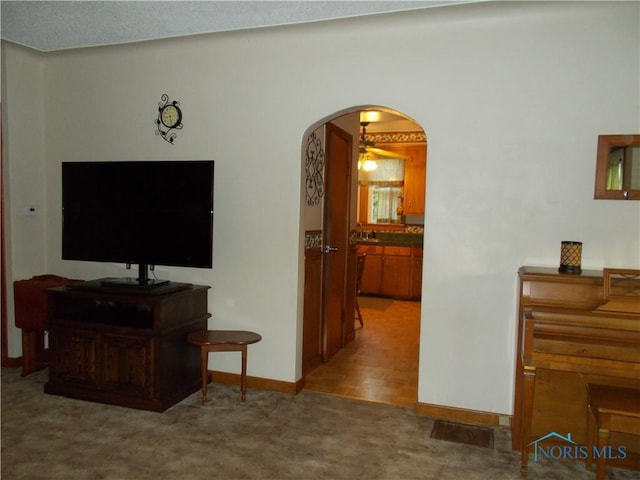 431 Fillmore St, Napoleon, OH 43545 - living room featuring carpet floors and arched walkways
