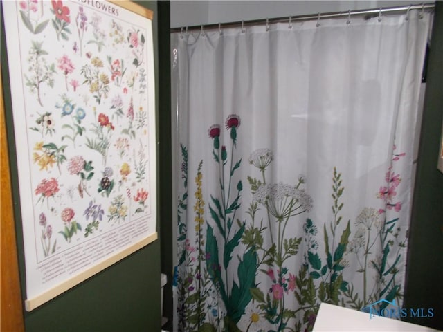 431 Fillmore St, Napoleon, OH 43545 - full bathroom with a shower with shower curtain