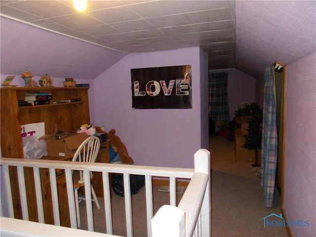 431 Fillmore St, Napoleon, OH 43545 - carpeted bedroom with lofted ceiling