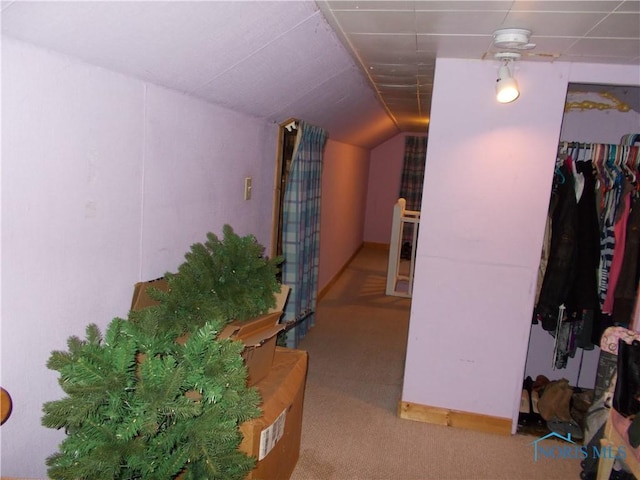 431 Fillmore St, Napoleon, OH 43545 - hall with carpet and vaulted ceiling