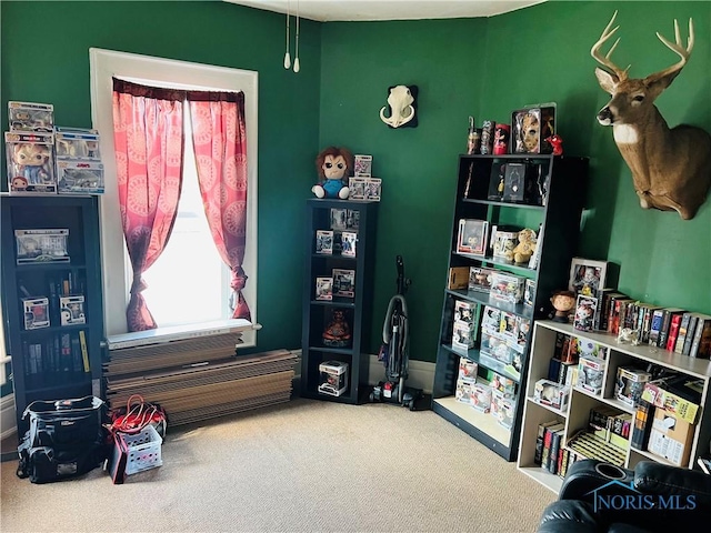 221 S 7th St, Upper Sandusky, OH 43351 - miscellaneous room featuring carpet