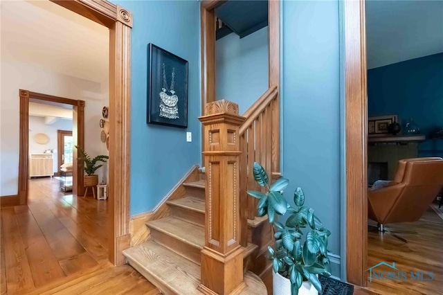 839 Maple Ave, Findlay, OH 45840 - photo 11