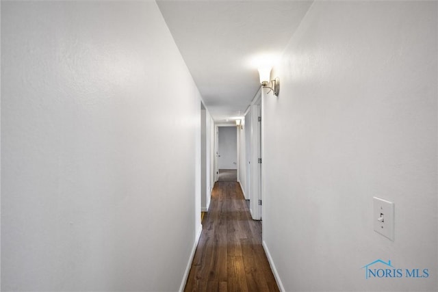 6201 Garden Rd Unit A14, Maumee, OH 43537 - corridor with wood-type flooring and baseboards