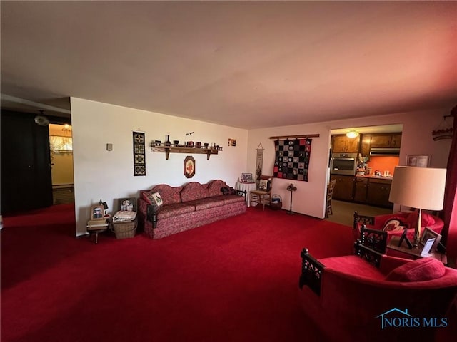 615 W Gage St, Forest, OH 45843 - photo 7