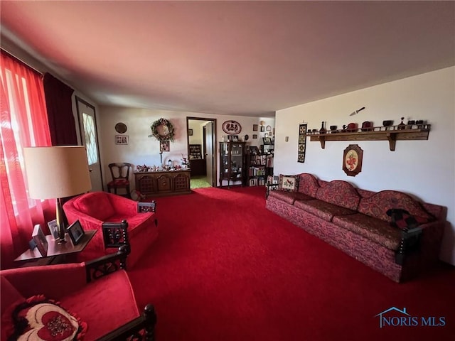 615 W Gage St, Forest, OH 45843 - photo 8