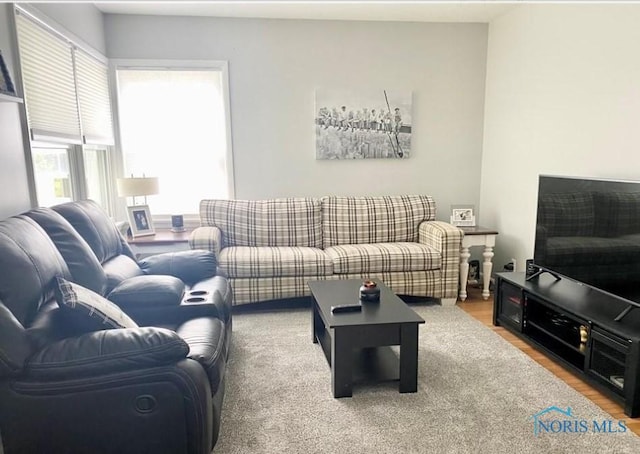 880 Burr Rd, Wauseon, OH 43567 - photo 9