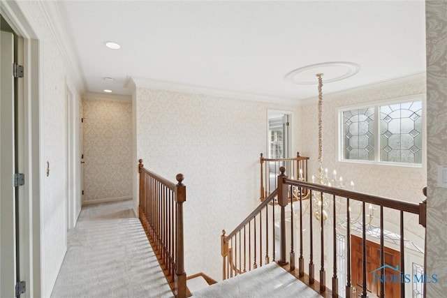 2949 Secretariat Rd, Ottawa Hills, OH 43615 - photo 24