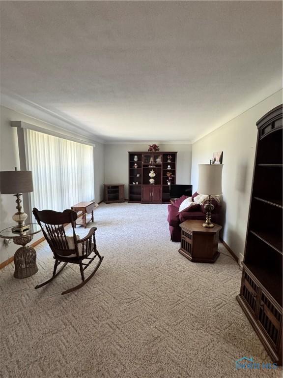 22725 Kellogg Rd, Grand Rapids, OH 43522 - photo 8