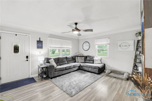 1937 Rhode Island Rd, Holland, OH 43528 - photo 4