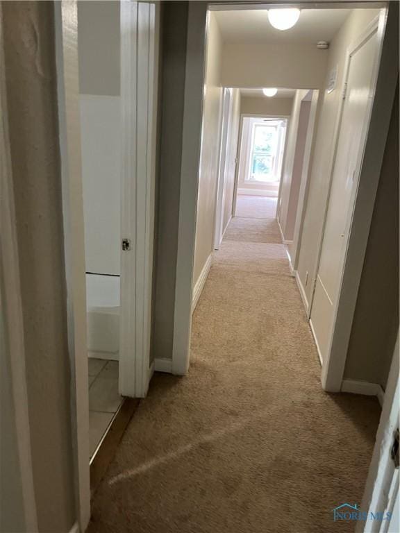 1820 Dunham St, Toledo, OH 43609 - photo 8