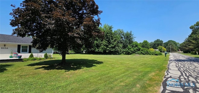 8436 Eordogh Rd, Sylvania, OH 43560 - photo 4