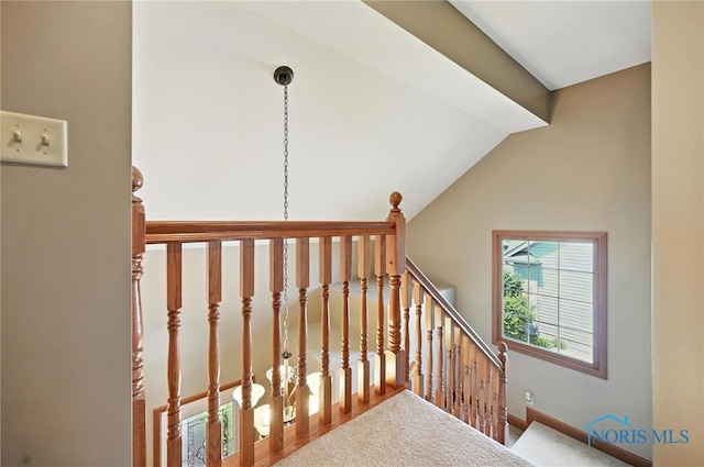 8405 Indian Lake Dr, Findlay, OH 45840 - photo 41
