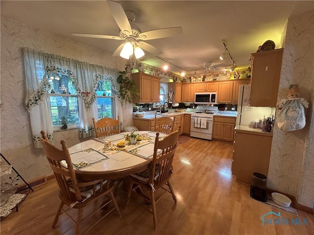 5951 Rolland Dr, Toledo, OH 43612 - photo 4