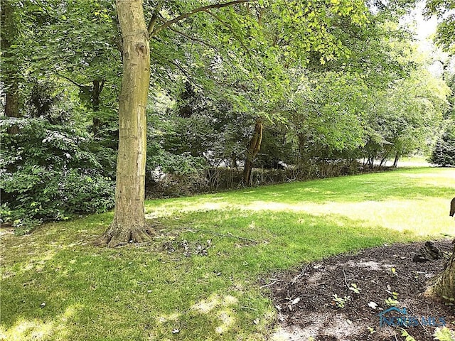 6045 Miakonda Trl, Sylvania, OH 43560 - photo 5