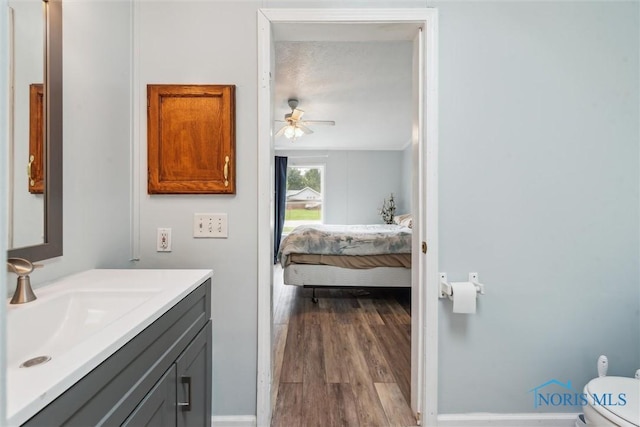 25528 Broad St, Perrysburg, OH 43551 - photo 24