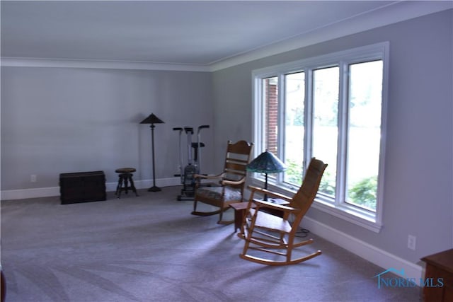 17129 N River Rd, Pemberville, OH 43450 - photo 23