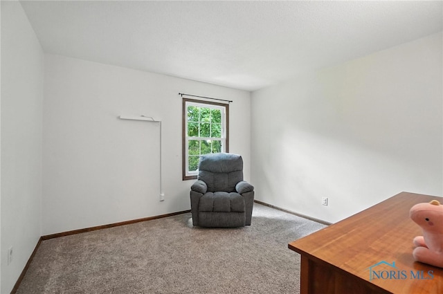 9509 Millcroft Rd, Perrysburg, OH 43551 - photo 27