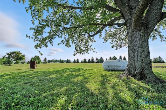D530 County Road 13, Holgate, OH 43527 - photo 26