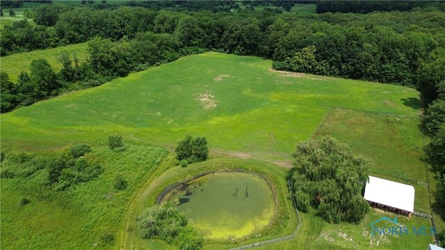 1526 County Road A, Liberty Center, OH 43532 - photo 33