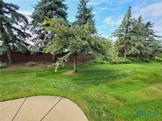 7751 Greenville Xing Unit 9-7751, Waterville, OH 43566 - photo 7