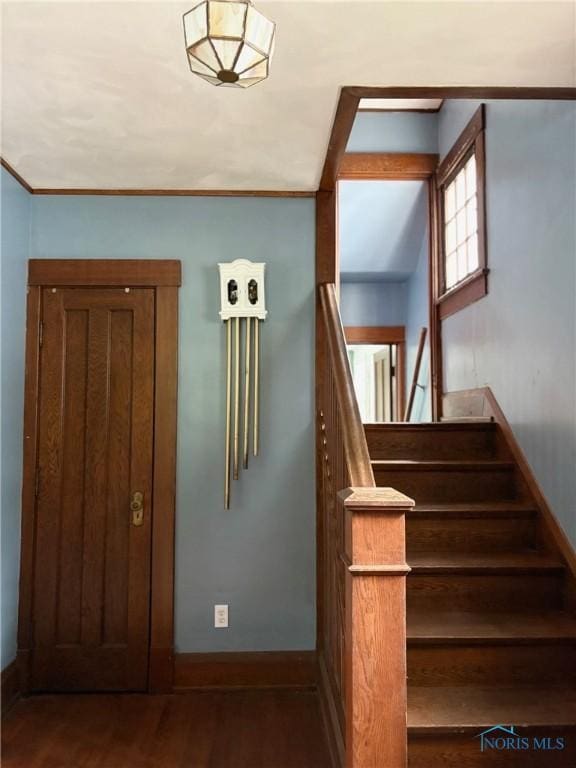 617 Holgate Ave, Defiance, OH 43512 - photo 21