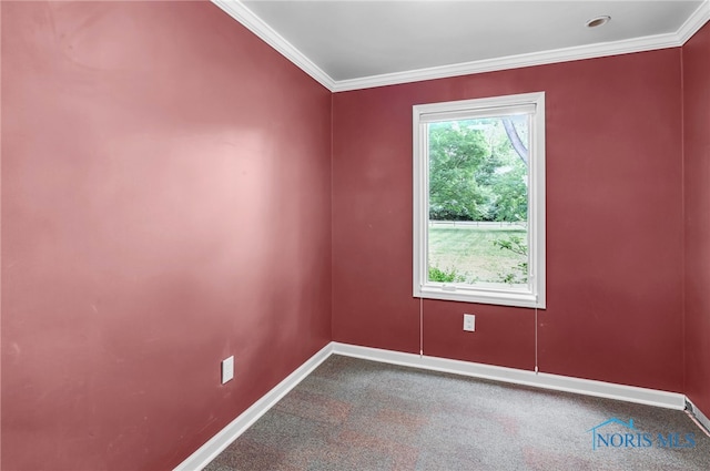 3655 Woodley Rd, Toledo, OH 43606 - photo 24