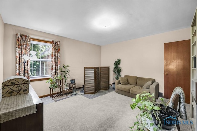 844 Pearl St, Bowling Green, OH 43402 - photo 20