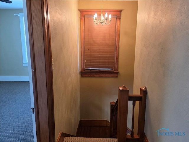 234 W Chestnut St, Wauseon, OH 43567 - photo 30