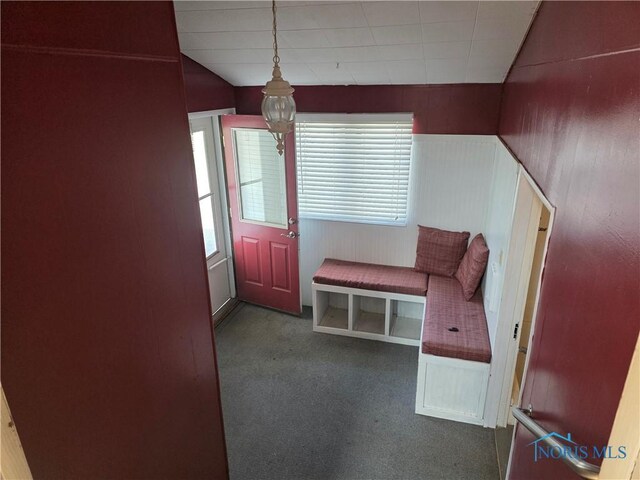 234 W Chestnut St, Wauseon, OH 43567 - photo 28