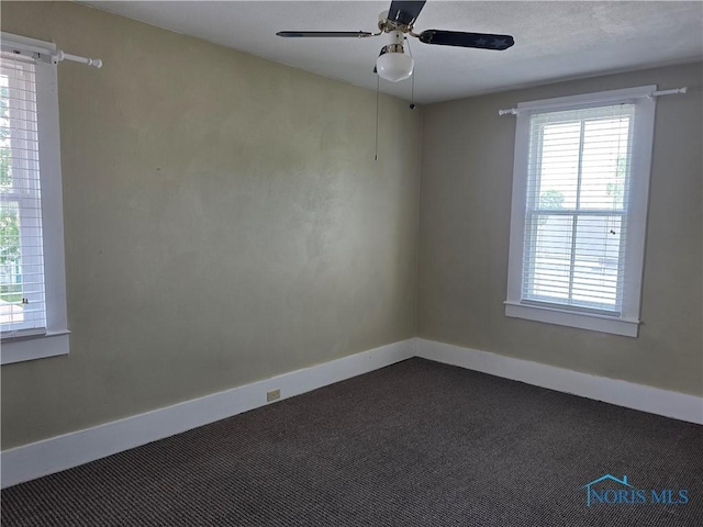 234 W Chestnut St, Wauseon, OH 43567 - photo 14