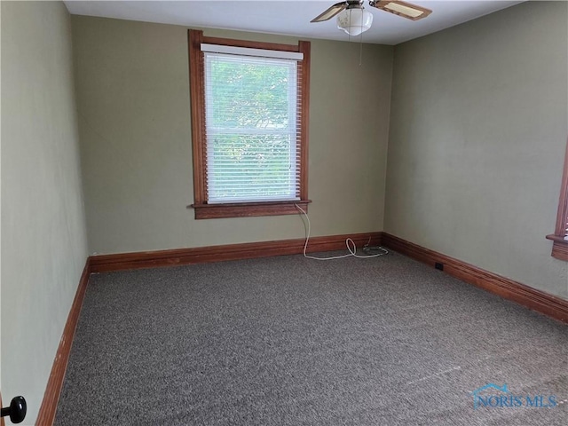 234 W Chestnut St, Wauseon, OH 43567 - photo 18