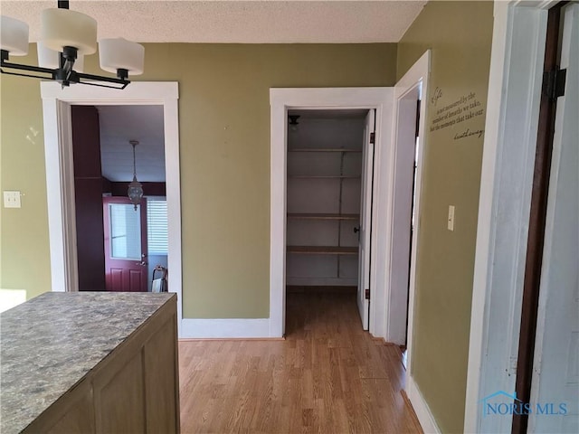 234 W Chestnut St, Wauseon, OH 43567 - photo 11