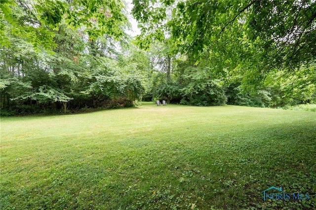 3065 S Main St, Findlay, OH 45840 - photo 44