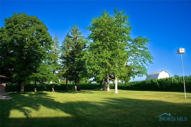 10281 State Route 107, Montpelier, OH 43543 - photo 39