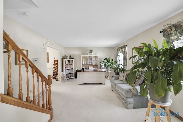 1938 Woodlore Dr, Toledo, OH 43614 - photo 6