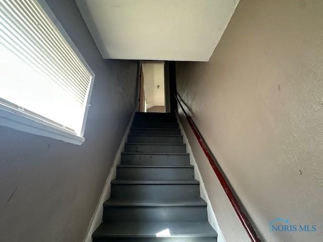 721 Stickney Ave, Toledo, OH 43604 - photo 2