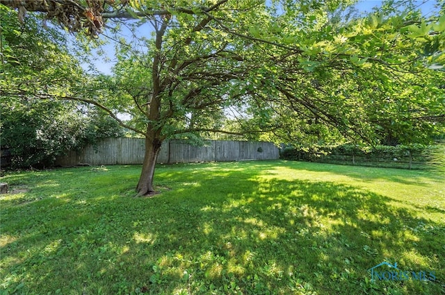 819 Walnut St, Perrysburg, OH 43551 - photo 41