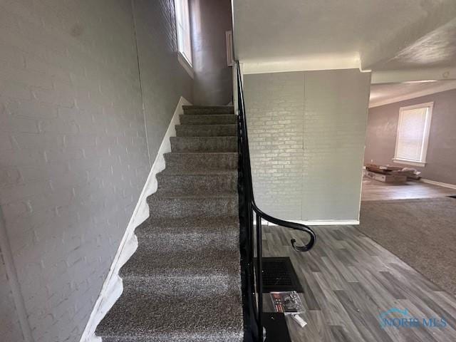 3214 Maplewood Ave, Toledo, OH 43610 - photo 3