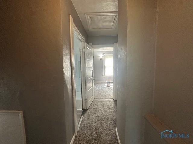 3214 Maplewood Ave, Toledo, OH 43610 - photo 12