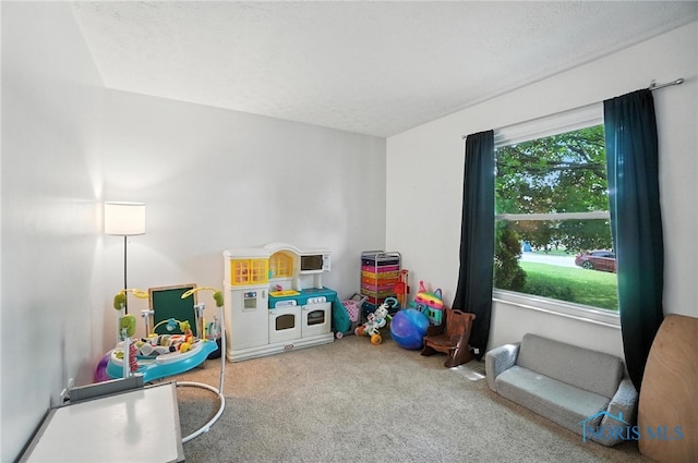 28713 Starlight Rd, Perrysburg, OH 43551 - photo 25
