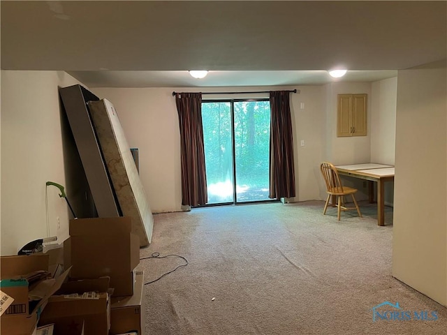 1131 Townsview Pl, Wooster, OH 44691 - photo 25