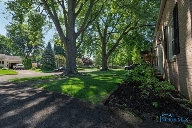 5923 Highland View Dr, Sylvania, OH 43560 - photo 5