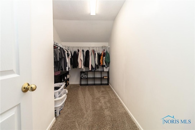 5689 Corey Unit 5689, Sylvania, OH 43560 - photo 40
