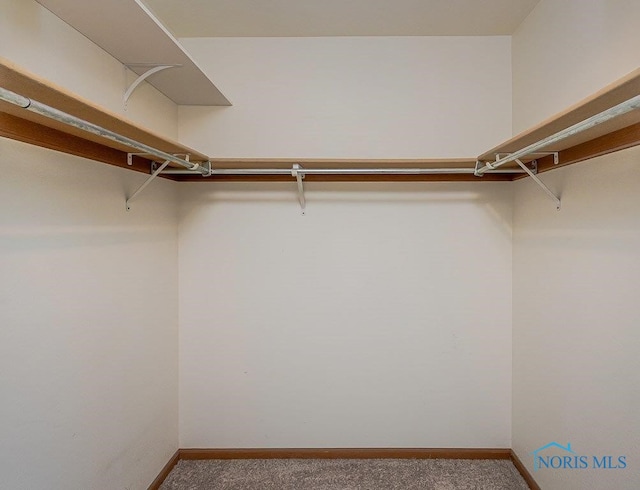 1065 Sparrow Ln, Bowling Green, OH 43402 - photo 17