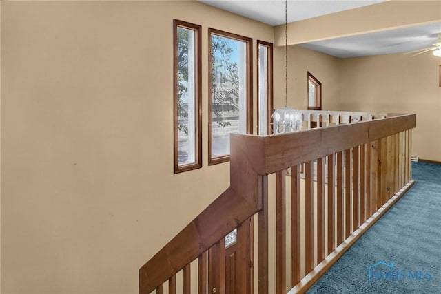 1144 Bernath Pkwy Unit D, Toledo, OH 43615 - photo 18