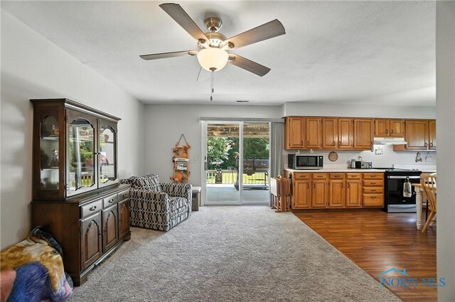 717 Thompson St, Fremont, OH 43420 - photo 7