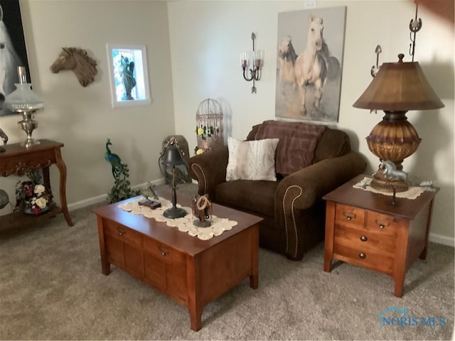 11 Maple St, Bloomville, OH 44818 - photo 6