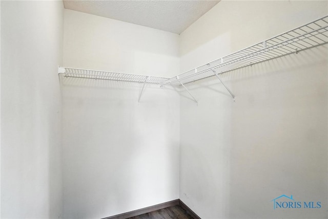 7620 County Road 12, Wauseon, OH 43567 - photo 24